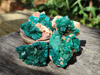 Natural Dioptase On Dolomite Specimens x 12 From Likasi, Congo