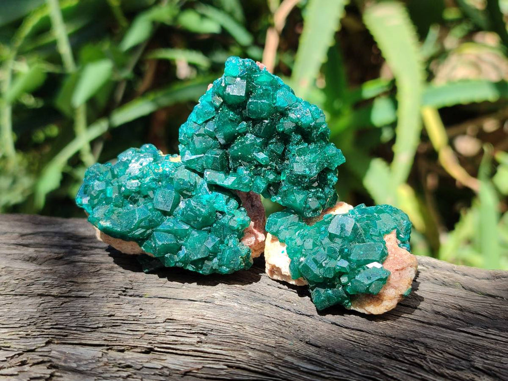 Natural Dioptase On Dolomite Specimens x 12 From Likasi, Congo - Toprock Gemstones and Minerals 