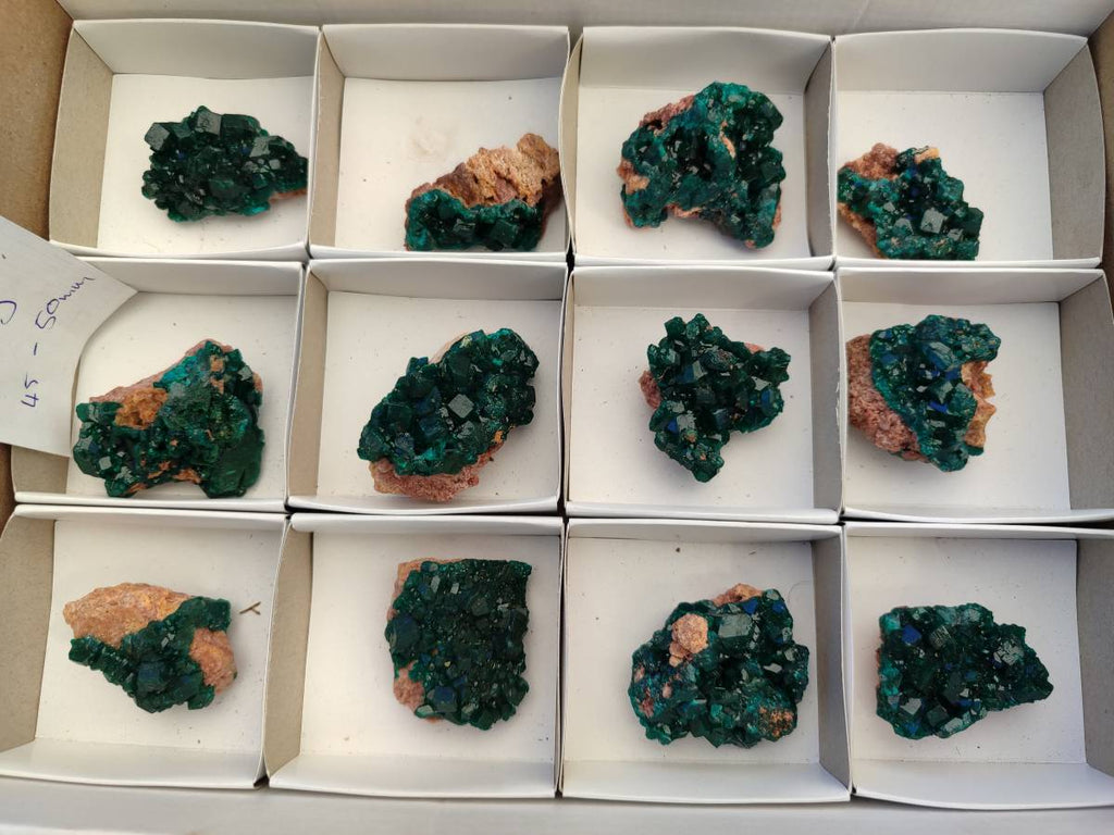 Natural Dioptase On Dolomite Specimens x 12 From Likasi, Congo - Toprock Gemstones and Minerals 