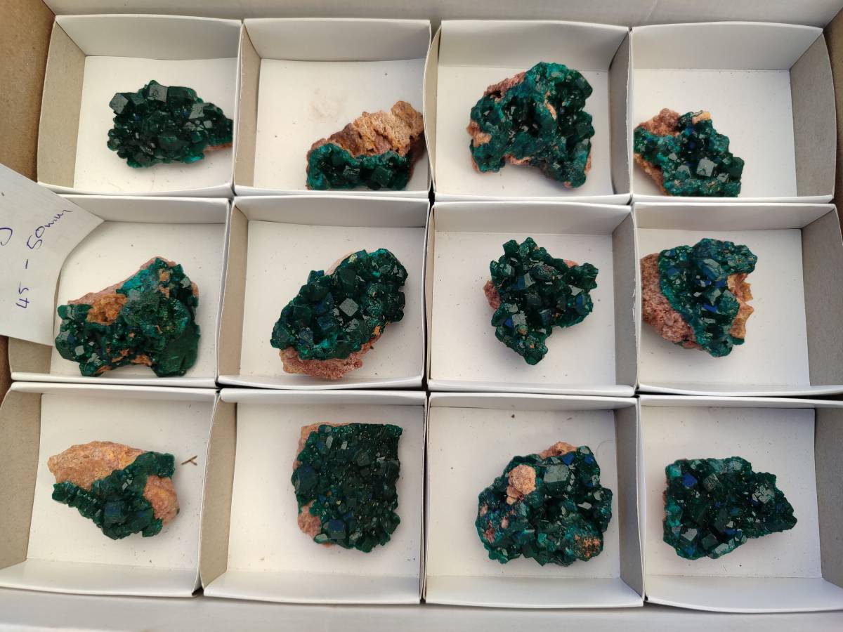 Natural Dioptase On Dolomite Specimens x 12 From Likasi, Congo - Toprock Gemstones and Minerals 