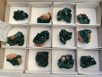 Natural Dioptase On Dolomite Specimens x 12 From Likasi, Congo