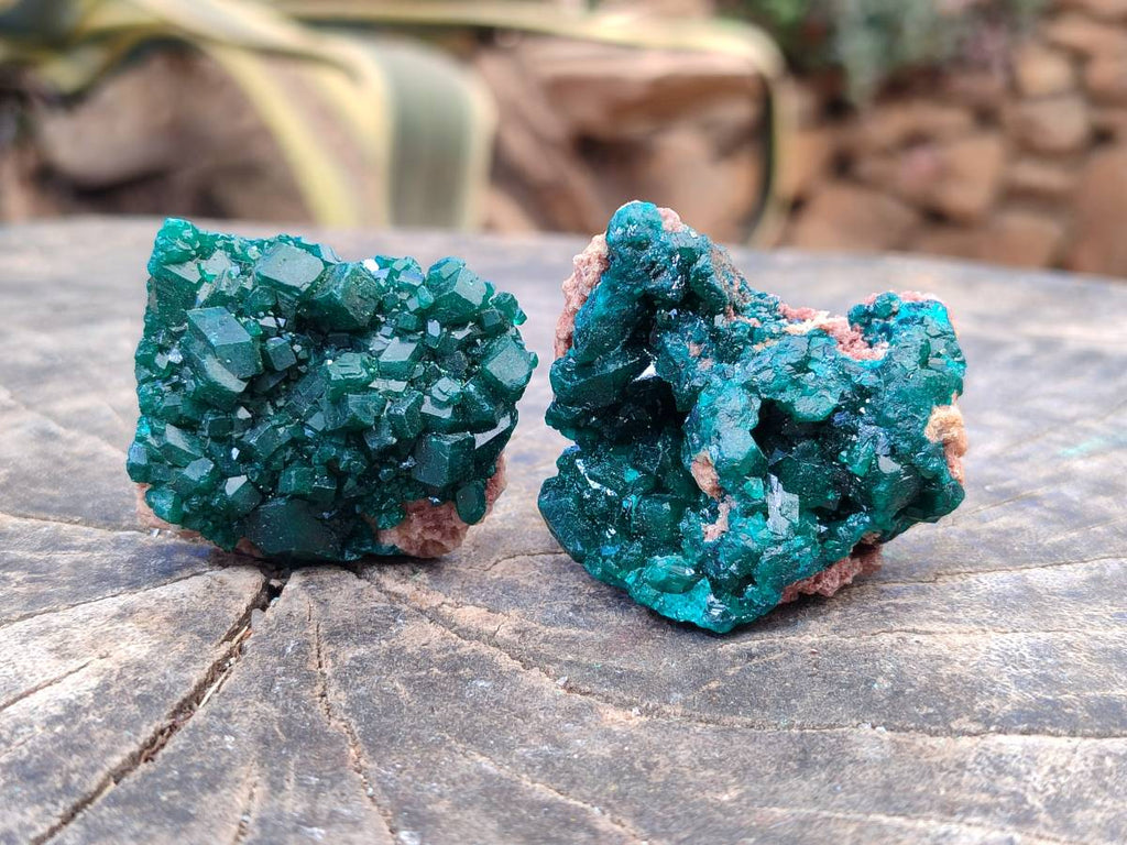 Natural Dioptase On Dolomite Specimens x 12 From Likasi, Congo - Toprock Gemstones and Minerals 
