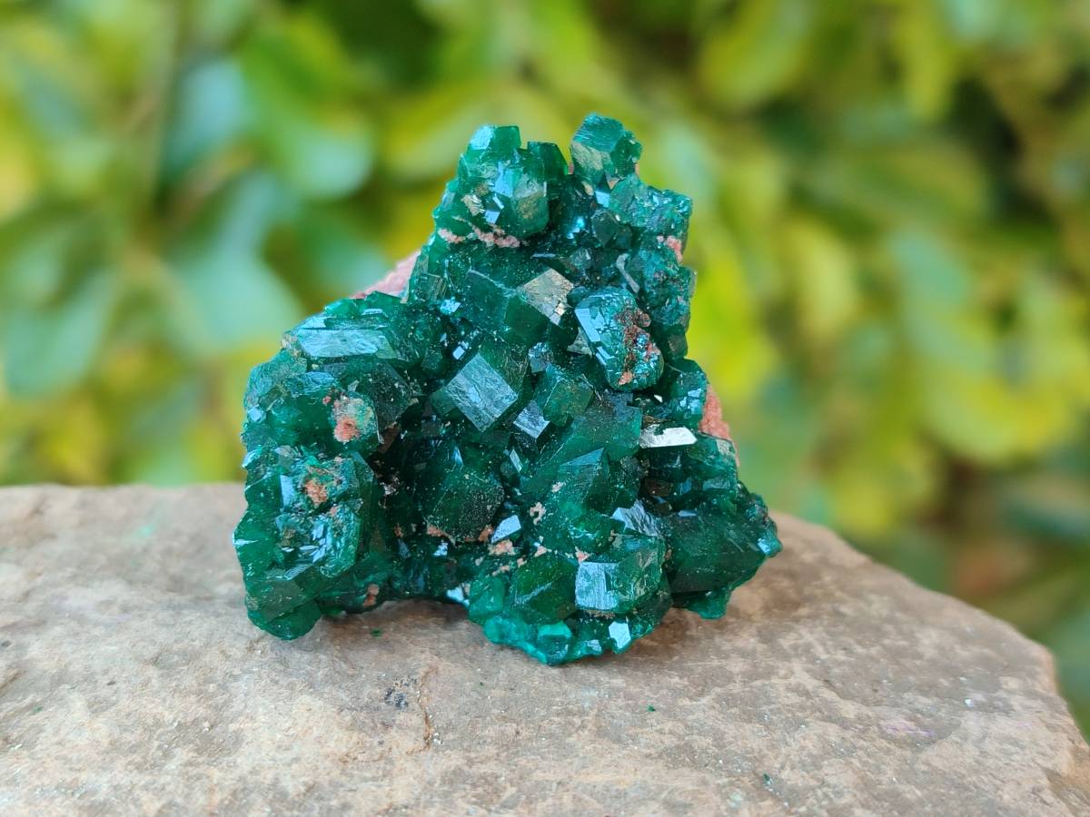 Natural Dioptase On Dolomite Specimens x 12 From Likasi, Congo - Toprock Gemstones and Minerals 