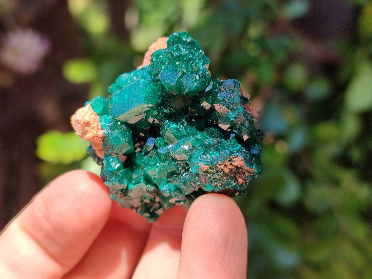 Natural Dioptase On Dolomite Specimens x 12 From Likasi, Congo - Toprock Gemstones and Minerals 
