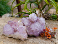 Natural Sunburst Amethyst Spirit Quartz Clusters x 6 From Boekenhouthoek, South Africa - Toprock Gemstones and Minerals 