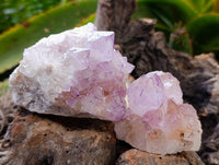 Natural Sunburst Amethyst Spirit Quartz Clusters x 6 From Boekenhouthoek, South Africa - Toprock Gemstones and Minerals 