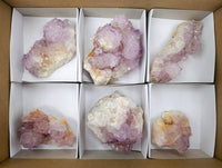 Natural Sunburst Amethyst Spirit Quartz Clusters x 6 From Boekenhouthoek, South Africa - Toprock Gemstones and Minerals 