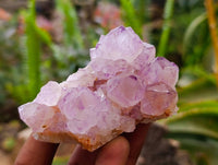Natural Sunburst Amethyst Spirit Quartz Clusters x 6 From Boekenhouthoek, South Africa - Toprock Gemstones and Minerals 