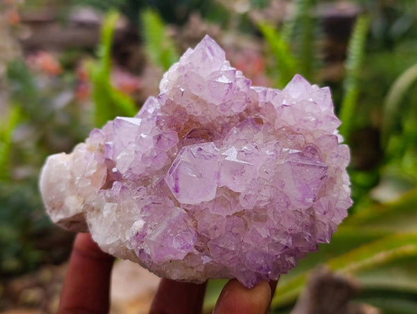 Natural Sunburst Amethyst Spirit Quartz Clusters x 6 From Boekenhouthoek, South Africa - Toprock Gemstones and Minerals 