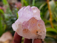 Natural Sunburst Amethyst Spirit Quartz Clusters x 6 From Boekenhouthoek, South Africa - Toprock Gemstones and Minerals 