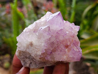 Natural Sunburst Amethyst Spirit Quartz Clusters x 6 From Boekenhouthoek, South Africa - Toprock Gemstones and Minerals 