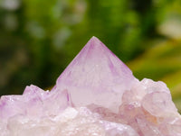 Natural Sunburst Amethyst Spirit Quartz Clusters x 6 From Boekenhouthoek, South Africa - Toprock Gemstones and Minerals 