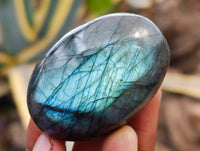 Polished Labradorite Galets x 20 From Tulear, Madagascar