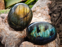 Polished Labradorite Galets x 20 From Tulear, Madagascar