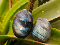 Polished Labradorite Galets x 20 From Tulear, Madagascar