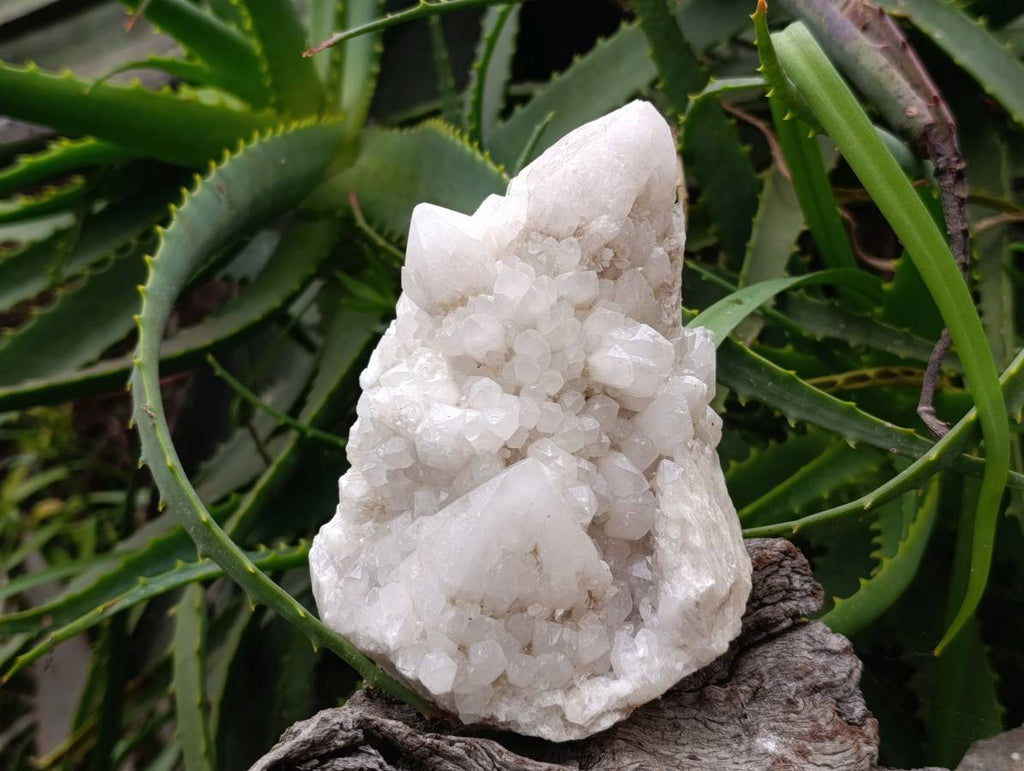 Natural Cascading Pineapple Candle Quartz Clusters x 2 From Antsirabe, Madagascar - Toprock Gemstones and Minerals 