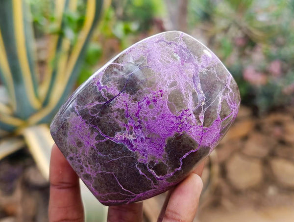 Polished Stichtite Standing Free Forms x 3 From Barberton, South Africa - Toprock Gemstones and Minerals 