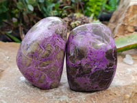 Polished Stichtite Standing Free Forms x 3 From Barberton, South Africa - Toprock Gemstones and Minerals 
