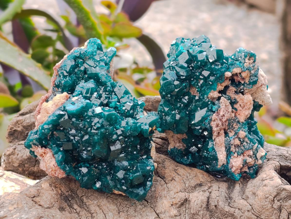 Natural Dioptase On Dolomite Specimens x 6 From Likasi, Congo - Toprock Gemstones and Minerals 