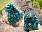 Natural Dioptase On Dolomite Specimens x 6 From Likasi, Congo - Toprock Gemstones and Minerals 