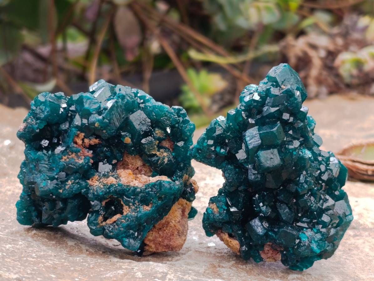 Natural Dioptase On Dolomite Specimens x 6 From Likasi, Congo - Toprock Gemstones and Minerals 