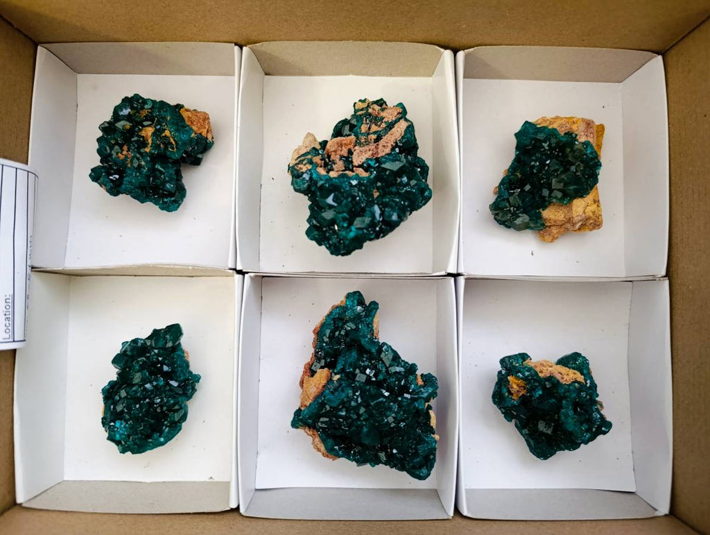 Natural Dioptase On Dolomite Specimens x 6 From Likasi, Congo - Toprock Gemstones and Minerals 