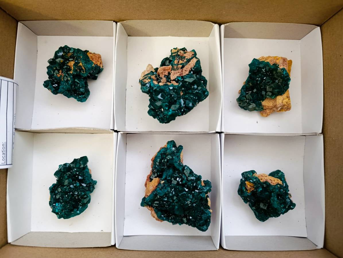 Natural Dioptase On Dolomite Specimens x 6 From Likasi, Congo - Toprock Gemstones and Minerals 