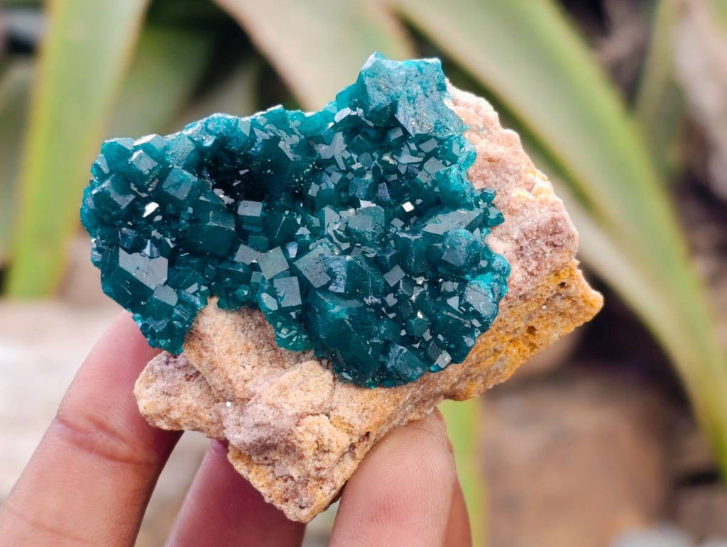 Natural Dioptase On Dolomite Specimens x 6 From Likasi, Congo - Toprock Gemstones and Minerals 
