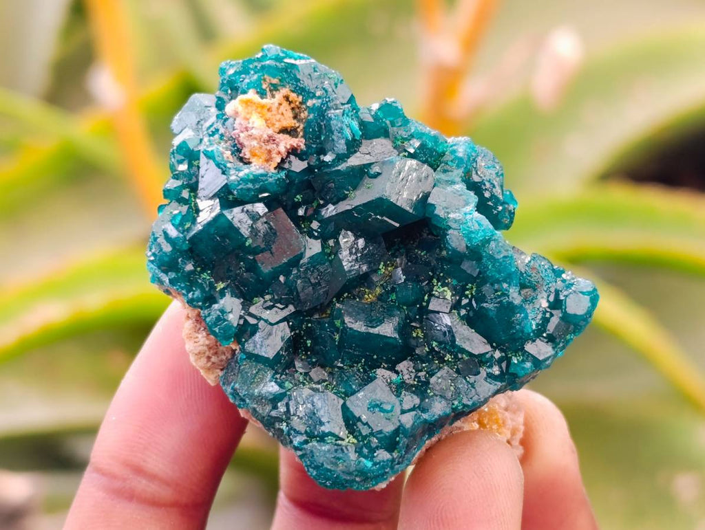 Natural Dioptase On Dolomite Specimens x 6 From Likasi, Congo - Toprock Gemstones and Minerals 