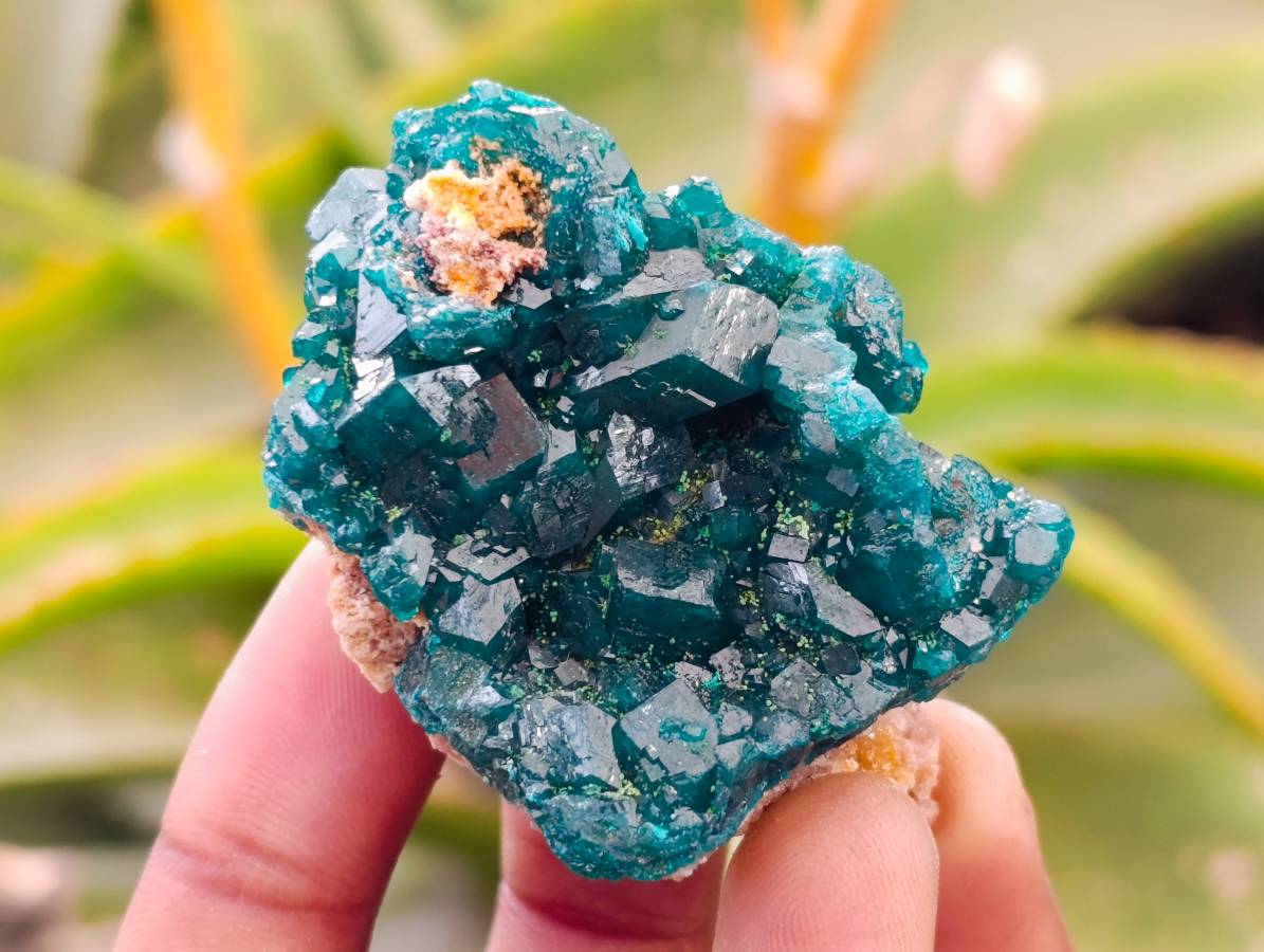 Natural Dioptase On Dolomite Specimens x 6 From Likasi, Congo - Toprock Gemstones and Minerals 