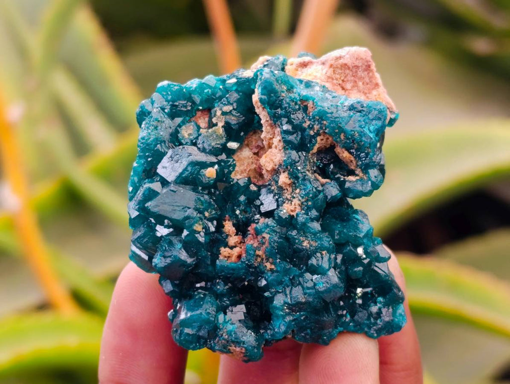 Natural Dioptase On Dolomite Specimens x 6 From Likasi, Congo - Toprock Gemstones and Minerals 