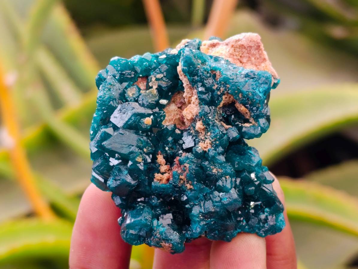 Natural Dioptase On Dolomite Specimens x 6 From Likasi, Congo - Toprock Gemstones and Minerals 