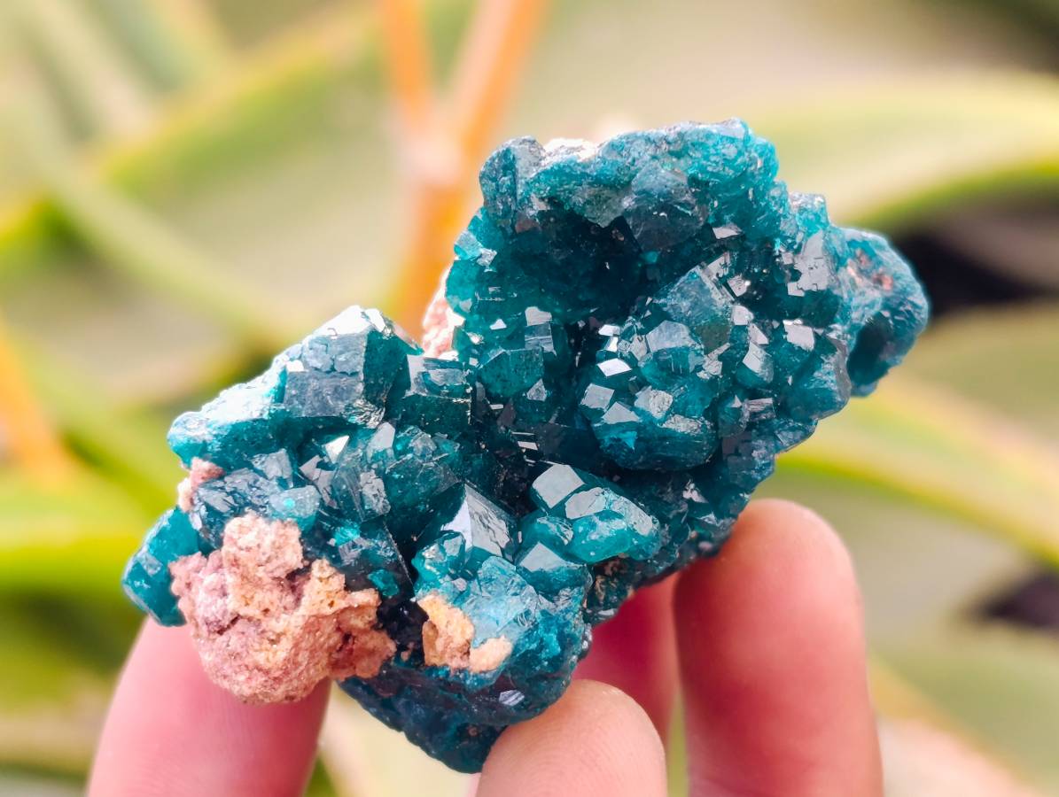Natural Dioptase On Dolomite Specimens x 6 From Likasi, Congo - Toprock Gemstones and Minerals 