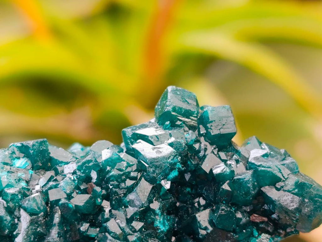 Natural Dioptase On Dolomite Specimens x 6 From Likasi, Congo - Toprock Gemstones and Minerals 