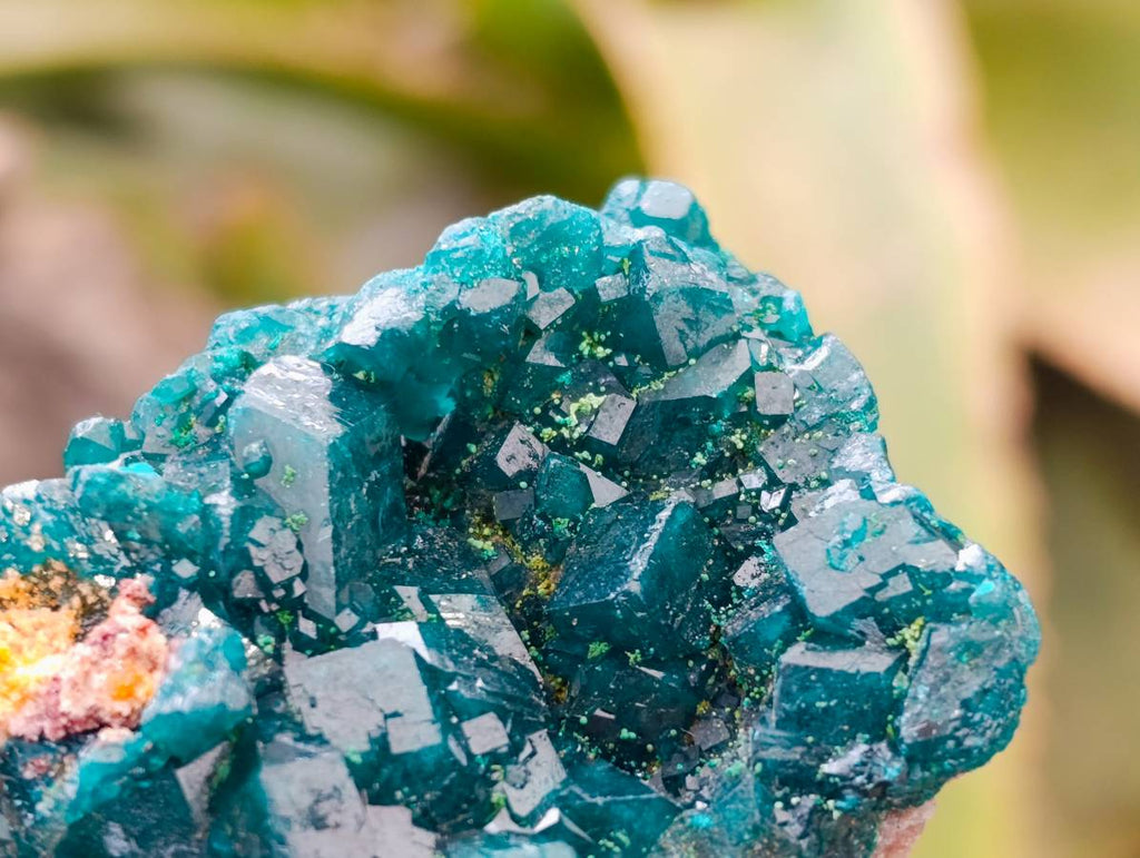 Natural Dioptase On Dolomite Specimens x 6 From Likasi, Congo - Toprock Gemstones and Minerals 