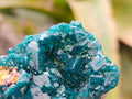 Natural Dioptase On Dolomite Specimens x 6 From Likasi, Congo - Toprock Gemstones and Minerals 