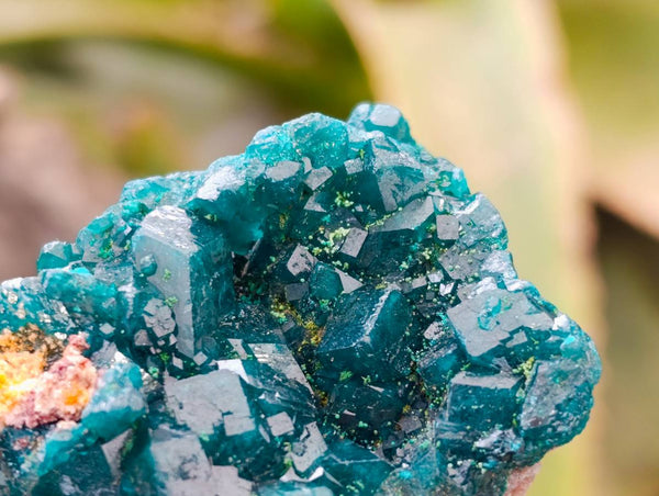 Natural Dioptase On Dolomite Specimens x 6 From Likasi, Congo