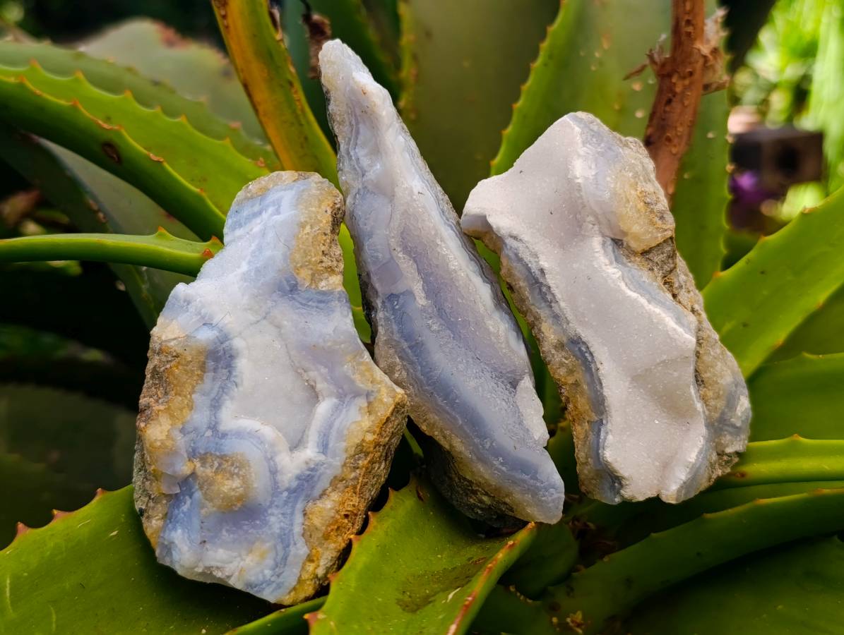 Natural Blue Lace Agate Geode Specimens x 24 From Nsanje, Malawi - Toprock Gemstones and Minerals 