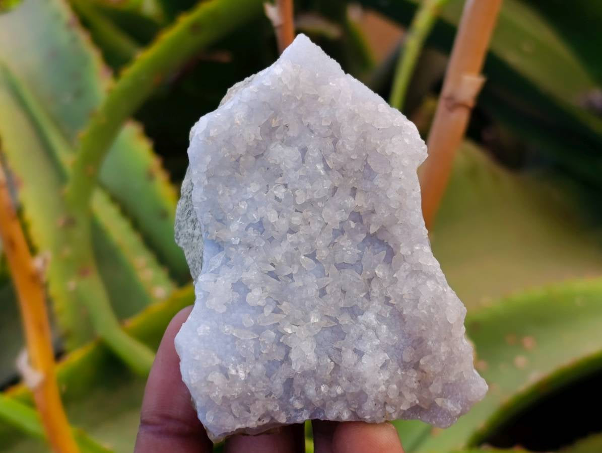 Natural Blue Lace Agate Geode Specimens x 24 From Nsanje, Malawi - Toprock Gemstones and Minerals 