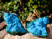 Natural Malachite Malacolla Botryoidal Chrysocolla Specimens x 4 From Kulukuluku, Congo