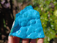 Natural Malachite Malacolla Botryoidal Chrysocolla Specimens x 4 From Kulukuluku, Congo