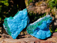 Natural Malachite Malacolla Botryoidal Chrysocolla Specimens x 4 From Kulukuluku, Congo