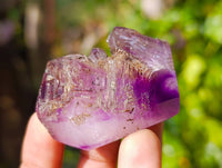 Polished Smokey Window Amethyst Quartz Crystals x 24 From Akansobe, Madagascar