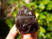 Polished Smokey Window Amethyst Quartz Crystals x 24 From Akansobe, Madagascar