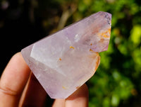 Polished Smokey Window Amethyst Quartz Crystals x 24 From Akansobe, Madagascar