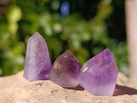 Polished Smokey Window Amethyst Quartz Crystals x 24 From Akansobe, Madagascar