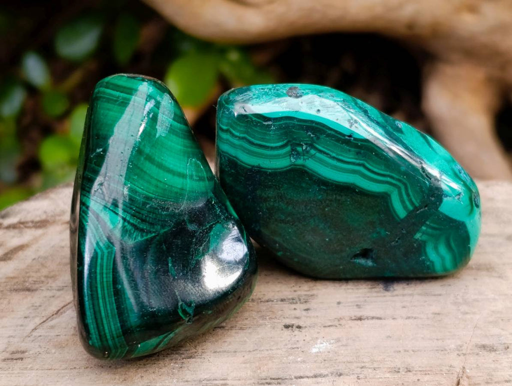 Polished Flower Banded Malachite Free Forms x 20 From Congo - Toprock Gemstones and Minerals 