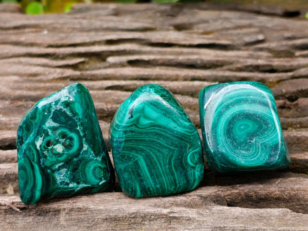 Polished Flower Banded Malachite Free Forms x 20 From Congo - Toprock Gemstones and Minerals 