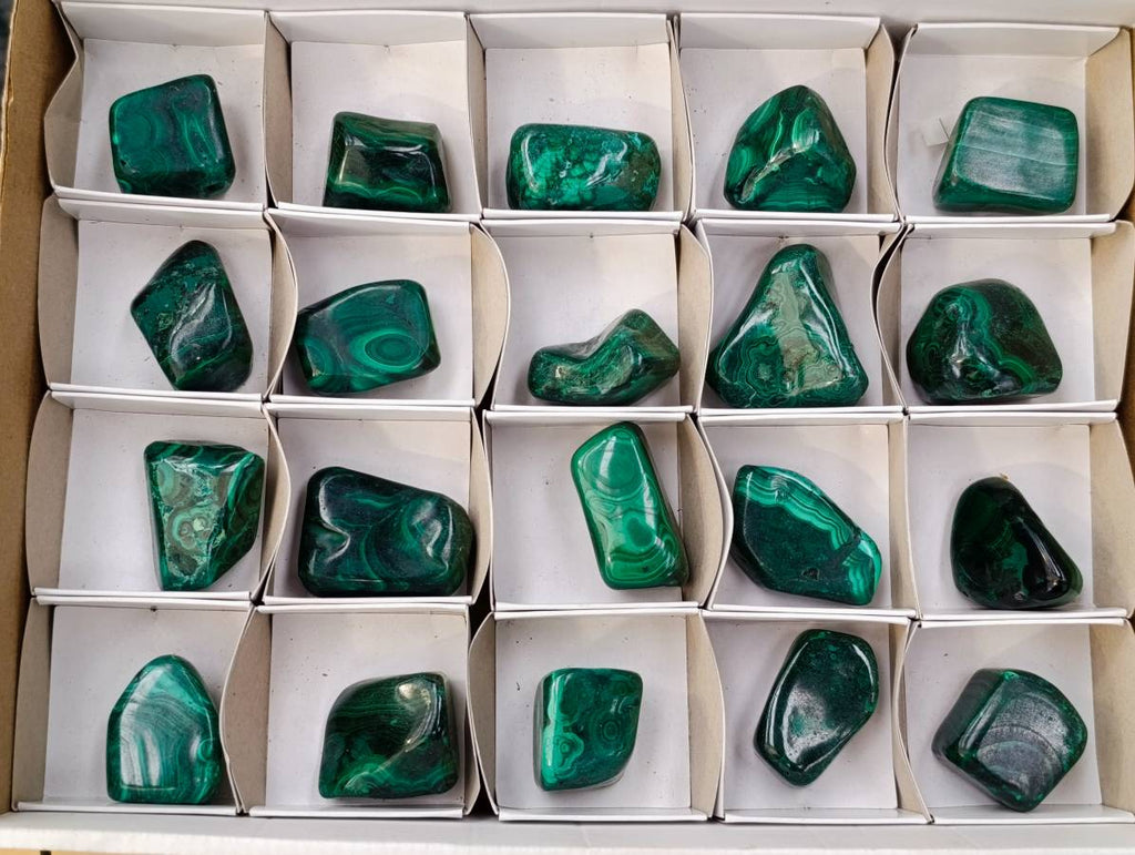 Polished Flower Banded Malachite Free Forms x 20 From Congo - Toprock Gemstones and Minerals 