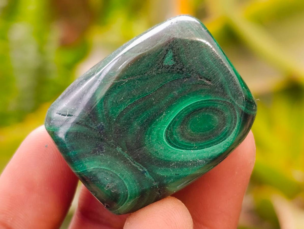 Polished Flower Banded Malachite Free Forms x 20 From Congo - Toprock Gemstones and Minerals 